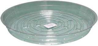 Clear Saucer, 10", pack of 25